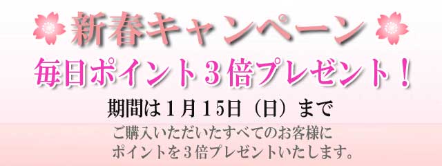 2017年 新春キャンペーン! 2017年 新春キャンペーン!