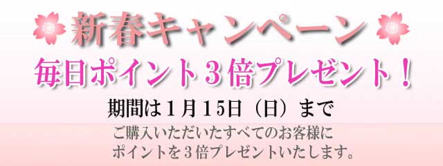 ２０１７年　新春キャンペーン！