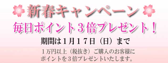 ２０１６年　新春キャンペーン！