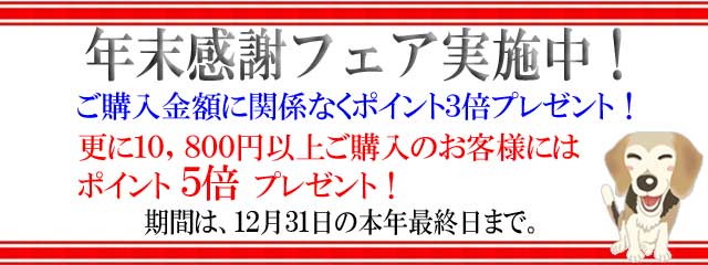 ほっとらんど年末感謝フェア！