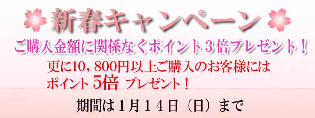 ほっとらんど新春キャンペーン