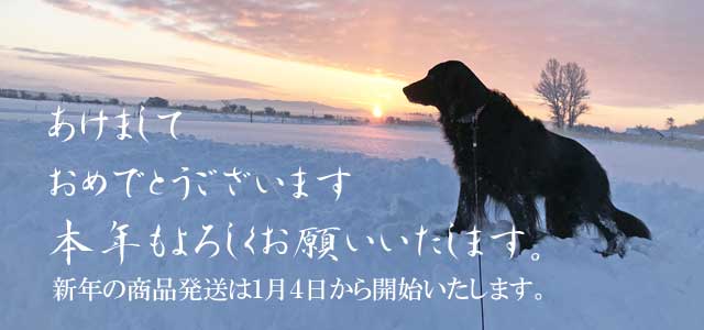 2018年もよろしくお願いいたします。 2018年もよろしくお願いいたします。