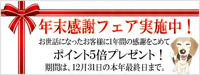 ２０１９年ほっとらんど年末感謝フェア！