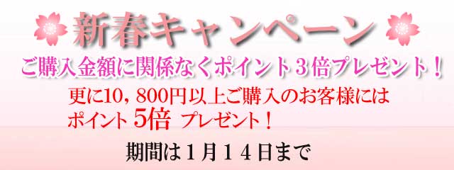 2019年 新春キャンペーン! 2019年 新春キャンペーン!