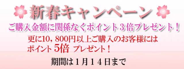 ２０１９年　新春キャンペーン！