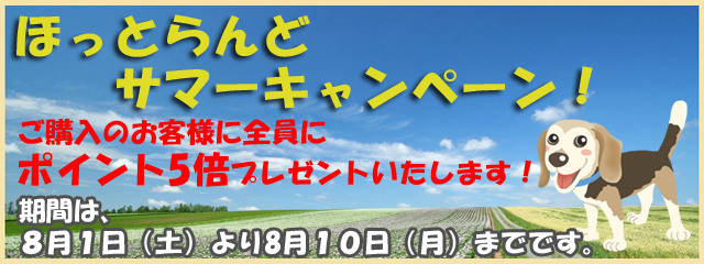 ポイント５倍ほっとらんどサマーキャンペーン