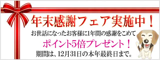 ２０２０年ほっとらんど年末感謝フェア！