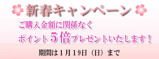 2020ほっとらんど新春キャンペーン