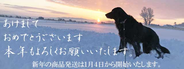 2020年もほっとらんどをよろしくお願いいたします。 2020年もほっとらんどをよろしくお願いいたします。