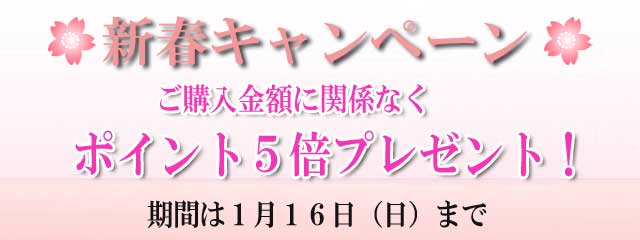2022年新春キャンペーン! 2022年新春キャンペーン!