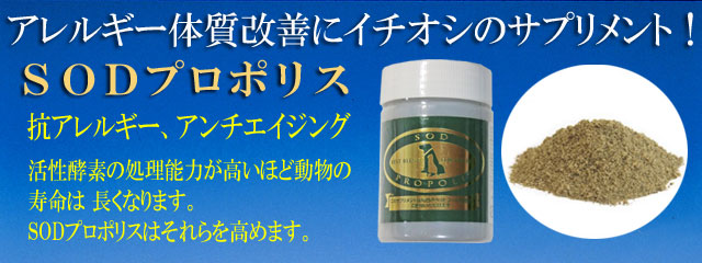 ＳＯＤプロポリスはアレルギー、アトピーなどのカユミを軽減します。